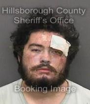 Nicholas Plummer Info, Photos, Data, and More About Nicholas Plummer / Nicholas Plummer Tampa Area