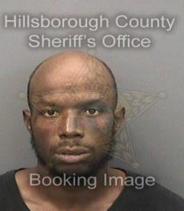 Dominque Carr Info, Photos, Data, and More About Dominque Carr / Dominque Carr Tampa Area