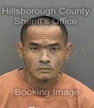 Dylan Saeung Info, Photos, Data, and More About Dylan Saeung / Dylan Saeung Tampa Area
