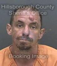 Robert Gavin Info, Photos, Data, and More About Robert Gavin / Robert Gavin Tampa Area