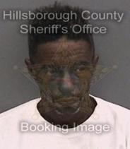 Ronald Hudson Info, Photos, Data, and More About Ronald Hudson / Ronald Hudson Tampa Area