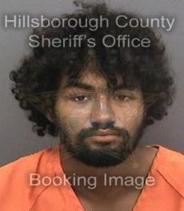 Richard Reed Info, Photos, Data, and More About Richard Reed / Richard Reed Tampa Area