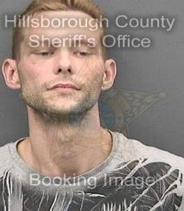 Daniel Ferrone Info, Photos, Data, and More About Daniel Ferrone / Daniel Ferrone Tampa Area
