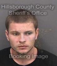 Tyler Stalvey Info, Photos, Data, and More About Tyler Stalvey / Tyler Stalvey Tampa Area
