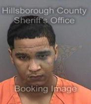 Donald Mitchell Info, Photos, Data, and More About Donald Mitchell / Donald Mitchell Tampa Area