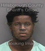Christian Martin Info, Photos, Data, and More About Christian Martin / Christian Martin Tampa Area