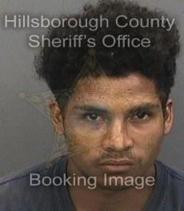 Kevin Miralda-Lobo Info, Photos, Data, and More About Kevin Miralda-Lobo / Kevin Miralda-Lobo Tampa Area