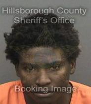 James Williams Info, Photos, Data, and More About James Williams / James Williams Tampa Area