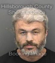 Michael Harren Info, Photos, Data, and More About Michael Harren / Michael Harren Tampa Area