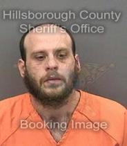 David Crosby Info, Photos, Data, and More About David Crosby / David Crosby Tampa Area