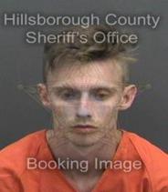 Dylan Carpin Info, Photos, Data, and More About Dylan Carpin / Dylan Carpin Tampa Area