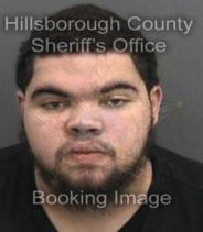 Andrew White Info, Photos, Data, and More About Andrew White / Andrew White Tampa Area