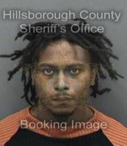 Robert Young Info, Photos, Data, and More About Robert Young / Robert Young Tampa Area