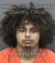 Gabriel Sanchez Info, Photos, Data, and More About Gabriel Sanchez / Gabriel Sanchez Tampa Area