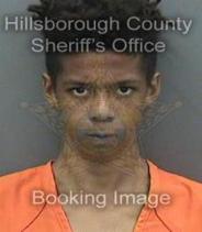 Christopher Blue Info, Photos, Data, and More About Christopher Blue / Christopher Blue Tampa Area