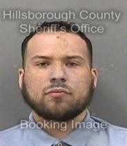 Cristian Stella Info, Photos, Data, and More About Cristian Stella / Cristian Stella Tampa Area