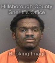 Christopher Shannon Info, Photos, Data, and More About Christopher Shannon / Christopher Shannon Tampa Area