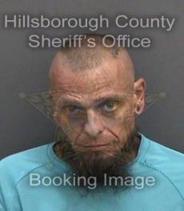 Shawn Mccauley Info, Photos, Data, and More About Shawn Mccauley / Shawn Mccauley Tampa Area