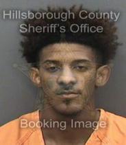 Bryce Barnes Info, Photos, Data, and More About Bryce Barnes / Bryce Barnes Tampa Area