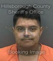 Bryan Brown Info, Photos, Data, and More About Bryan Brown / Bryan Brown Tampa Area