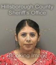 Erika Rodriguez Info, Photos, Data, and More About Erika Rodriguez / Erika Rodriguez Tampa Area