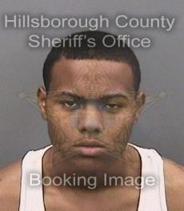 Daniel Bradley Info, Photos, Data, and More About Daniel Bradley / Daniel Bradley Tampa Area