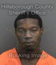 Michael Steward Info, Photos, Data, and More About Michael Steward / Michael Steward Tampa Area