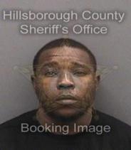 George Morris Info, Photos, Data, and More About George Morris / George Morris Tampa Area