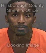 Zavid Hill Info, Photos, Data, and More About Zavid Hill / Zavid Hill Tampa Area
