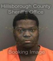 Jerome Loynes Info, Photos, Data, and More About Jerome Loynes / Jerome Loynes Tampa Area