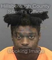 Robert Harris Info, Photos, Data, and More About Robert Harris / Robert Harris Tampa Area