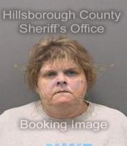 Lisa Phillips Info, Photos, Data, and More About Lisa Phillips / Lisa Phillips Tampa Area