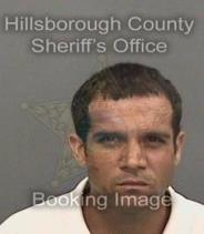 Christian Fernandez Maldonado Info, Photos, Data, and More About Christian Fernandez Maldonado / Christian Fernandez Maldonado Tampa Area