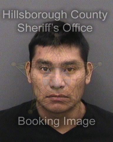 ALONSO GIRON LOPEZ  Info, Photos, Data, and More About ALONSO GIRON LOPEZ  / ALONSO GIRON LOPEZ  Tampa Area