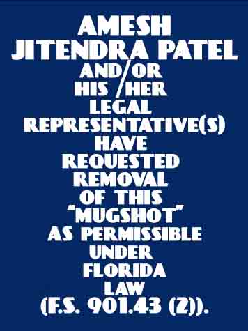 AMESH JITENDRA PATEL  Info, Photos, Data, and More About AMESH JITENDRA PATEL  / AMESH JITENDRA PATEL  Tampa Area