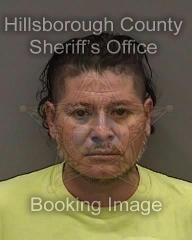 ARMANDO RIVADENEYRA RAMIREZ  Info, Photos, Data, and More About ARMANDO RIVADENEYRA RAMIREZ  / ARMANDO RIVADENEYRA RAMIREZ  Tampa Area