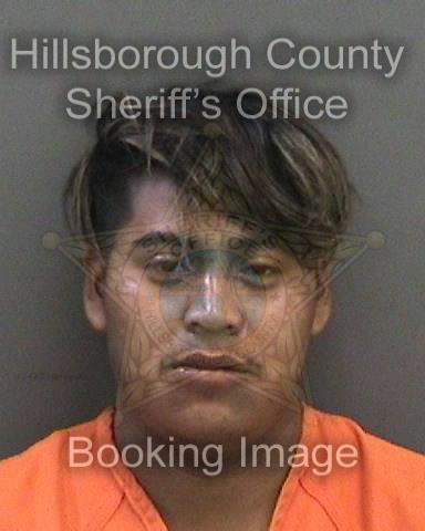 AUDELINO ELVER BARTOLON GOMEZ  Info, Photos, Data, and More About AUDELINO ELVER BARTOLON GOMEZ  / AUDELINO ELVER BARTOLON GOMEZ  Tampa Area
