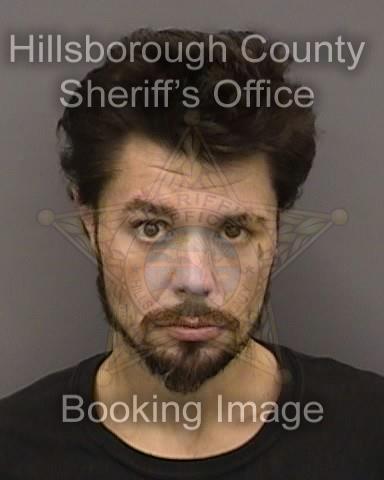 BRENDAN REED MCGALL  Info, Photos, Data, and More About BRENDAN REED MCGALL  / BRENDAN REED MCGALL  Tampa Area