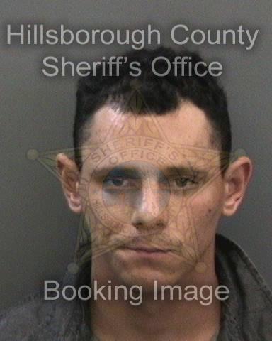 DANIEL THOMAS ECKSTEIN  Info, Photos, Data, and More About DANIEL THOMAS ECKSTEIN  / DANIEL THOMAS ECKSTEIN  Tampa Area