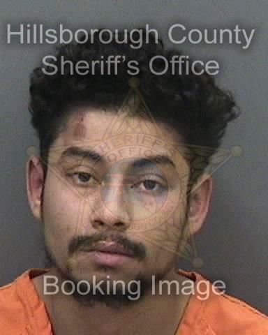 DANNY CRISTOBAL GRANADOS TORRES  Info, Photos, Data, and More About DANNY CRISTOBAL GRANADOS TORRES  / DANNY CRISTOBAL GRANADOS TORRES  Tampa Area