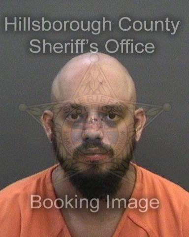 DARREN SHELTON  Info, Photos, Data, and More About DARREN SHELTON  / DARREN SHELTON  Tampa Area