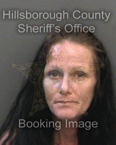 DAWN SISK  Info, Photos, Data, and More About DAWN SISK  / DAWN SISK  Tampa Area