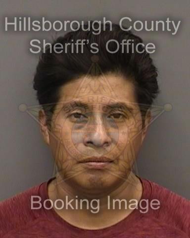 ENEMIAS JOEL VASQUEZ GONZALEZ  Info, Photos, Data, and More About ENEMIAS JOEL VASQUEZ GONZALEZ  / ENEMIAS JOEL VASQUEZ GONZALEZ  Tampa Area