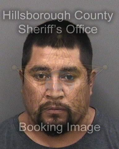 FILIBERTO MATA  Info, Photos, Data, and More About FILIBERTO MATA  / FILIBERTO MATA  Tampa Area
