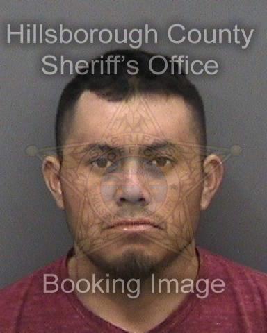 GENARO RODRIGUEZ ANGELES  Info, Photos, Data, and More About GENARO RODRIGUEZ ANGELES  / GENARO RODRIGUEZ ANGELES  Tampa Area