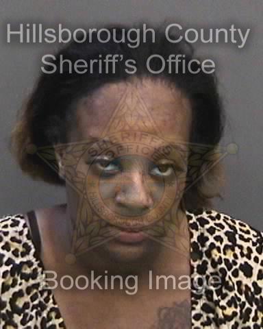 JASMINE FREDDYMAE ROLFE  Info, Photos, Data, and More About JASMINE FREDDYMAE ROLFE  / JASMINE FREDDYMAE ROLFE  Tampa Area