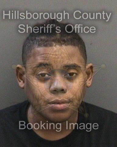 JONYCE ARIELE HOLLINS  Info, Photos, Data, and More About JONYCE ARIELE HOLLINS  / JONYCE ARIELE HOLLINS  Tampa Area
