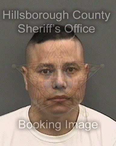 JOSE FIDEL SANCHEZ ZETINO  Info, Photos, Data, and More About JOSE FIDEL SANCHEZ ZETINO  / JOSE FIDEL SANCHEZ ZETINO  Tampa Area