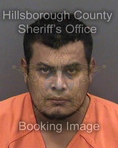 LESTER NOEL BRAVO FONSECA  Info, Photos, Data, and More About LESTER NOEL BRAVO FONSECA  / LESTER NOEL BRAVO FONSECA  Tampa Area