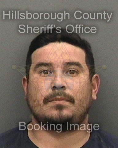 LUIS ERNESTO CALVILLO BELTRAN  Info, Photos, Data, and More About LUIS ERNESTO CALVILLO BELTRAN  / LUIS ERNESTO CALVILLO BELTRAN  Tampa Area